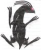 ShadowCrawler.jpg