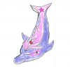 Psydolphin.jpg