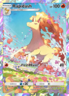 rapidash_pocket.png
