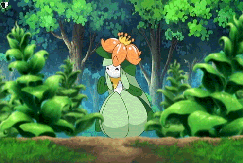 5bkMg56.gif