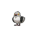pidove.png