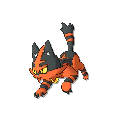 torracat.png
