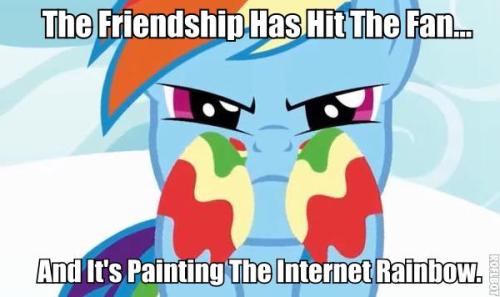 tumblr_lhi1eeE3t51qhndp6o1_500.jpg