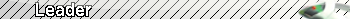 LeaderUserbar.png