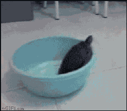 3u5WE.gif
