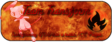 TeamTransformBannerFireSmall.png