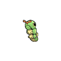 caterpie.png