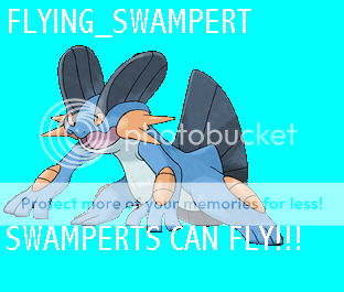 260Swampert.png