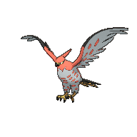 talonflame-2.gif