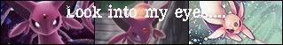 DMES.jpg