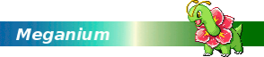 MeganiumBanner.png