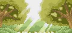 MorningForest.jpg