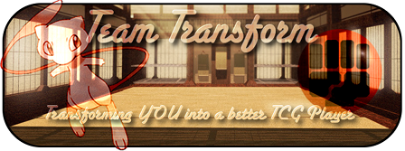 TeamTransformBannerFightingSmall.png