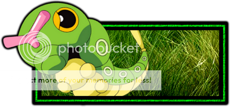 caterpiebanner.png