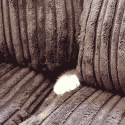 orPcU.gif