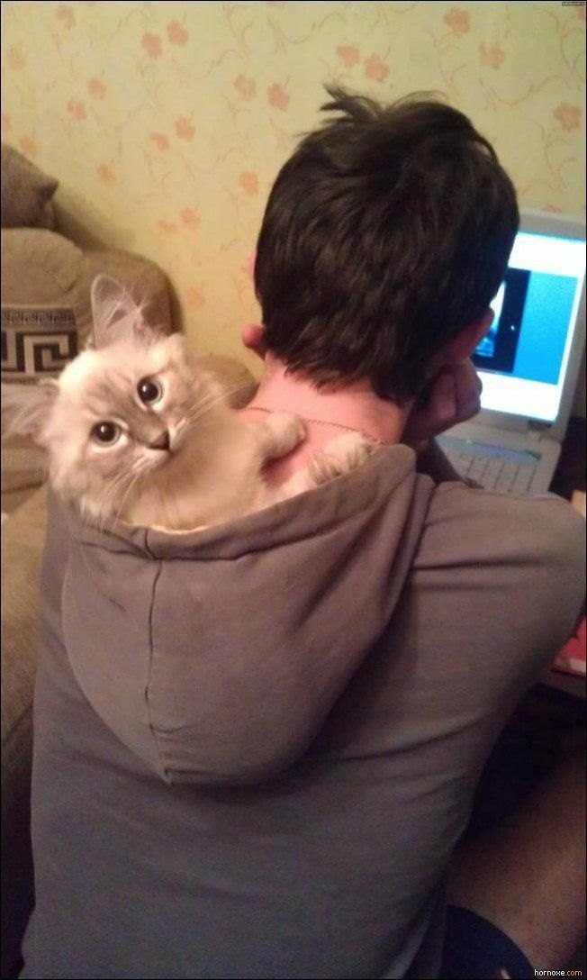 tumblr_mew86cg24K1riqmbzo1_1280.jpg