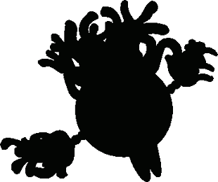 aneshadow.png