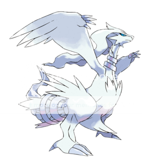Reshiram.png