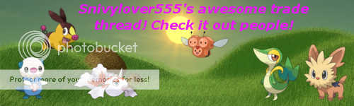 snivybanner.png