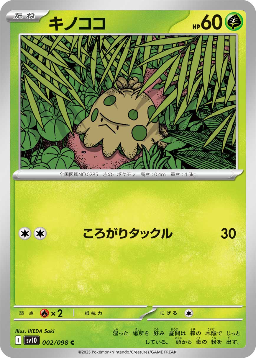 047395_P_KINOKOKO.jpg