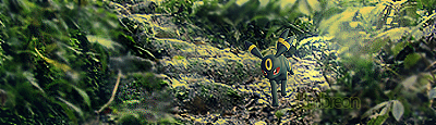 Umbreon.png
