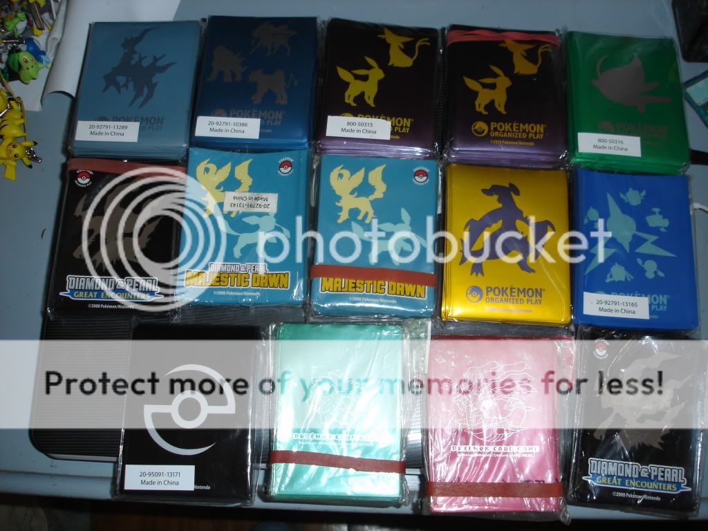 DSC00875.jpg