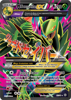 XY7_EN_85.png