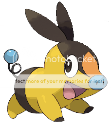 Pokabushiny.png