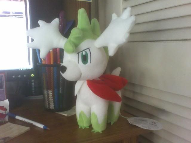 shaymin.jpg