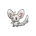 minccino.png