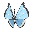 vivillon-tundra.gif