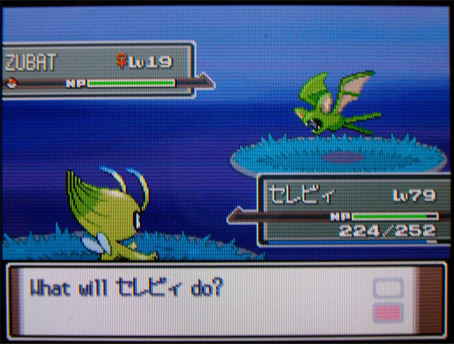 Aqua_zubat_by_Magus_child.jpg