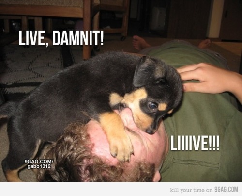 tumblr_lxb3vrwM3m1qzxzwwo1_500.jpg