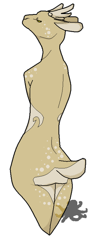 EckoJecko.png