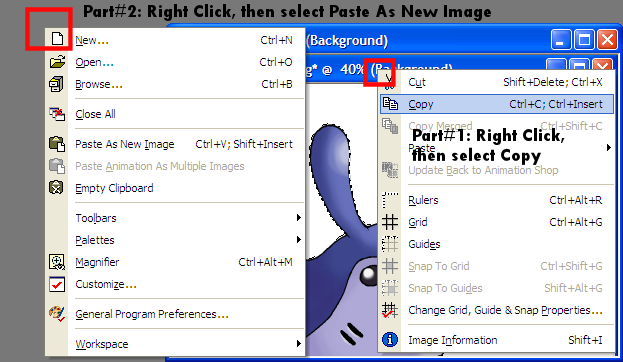 Guide21CopyandPaste.png