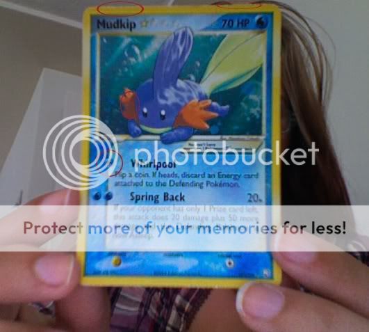 mudkip.jpg