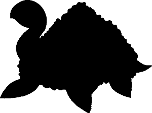 akshadow.png