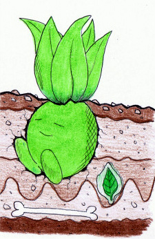 Sleeping_Shiny_Oddish_by_HearthFire.jpg