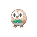 rowlet.jpg