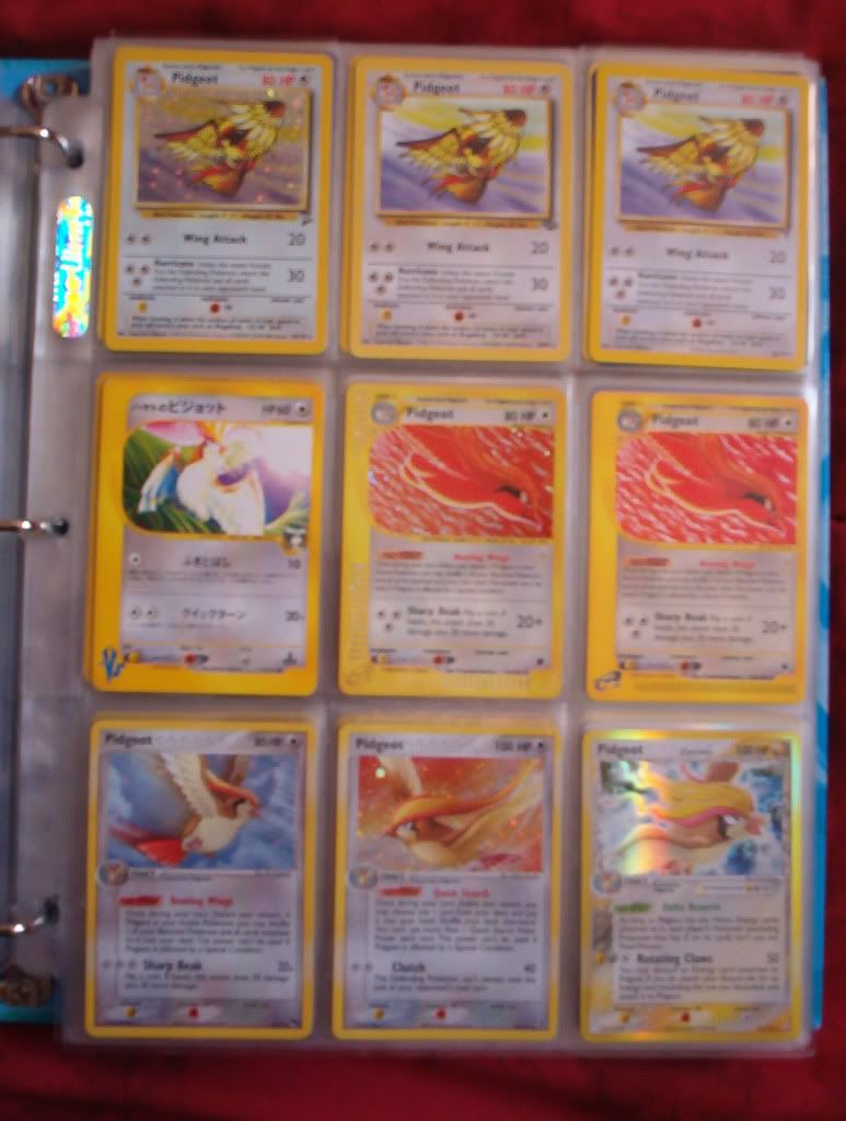Pidgeot.jpg