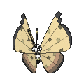 vivillon-sandstorm.png