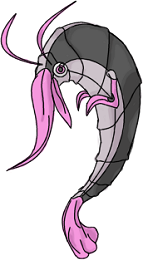 shrimpmini.png