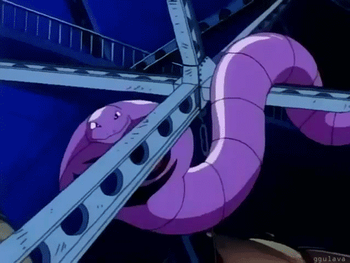 tumblr_n0odxhrqX11tntbcgo1_r1_500.gif
