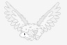 AngelShaymin.png