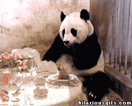 0qNFSo8.gif