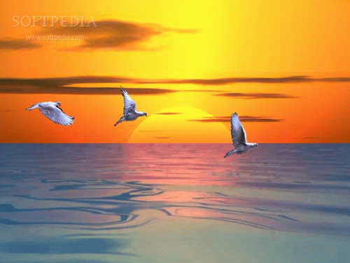 3D-Ocean-Sunset_1.png