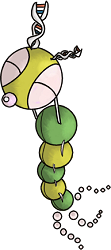 Dainopiidomini.png