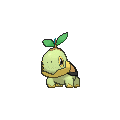 turtwig.png