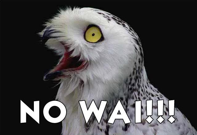 no_wai.jpg