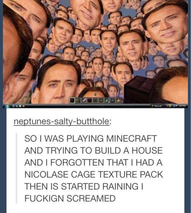 252.jpg